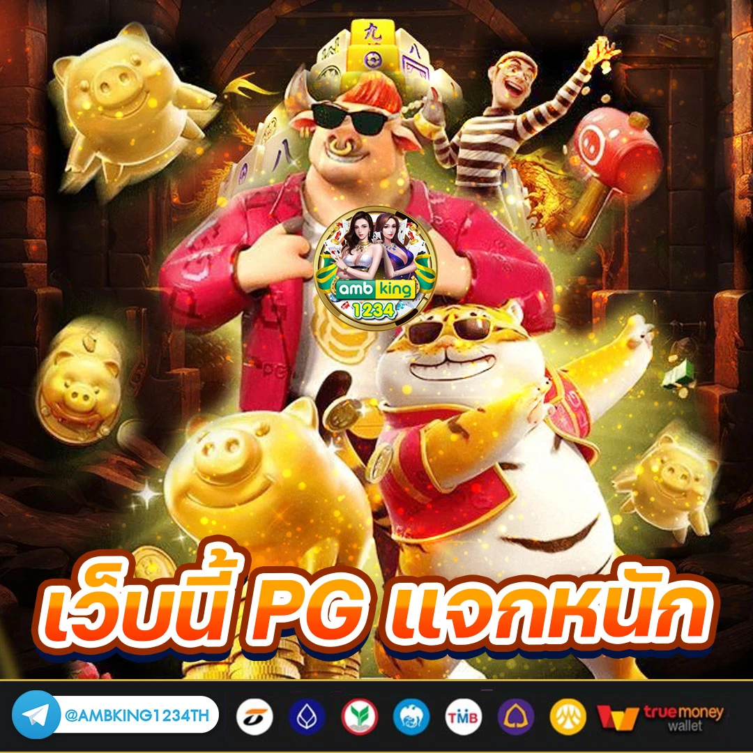 เน็ตไม่เสถียร - แบนเนอร์โปรโมชั่น