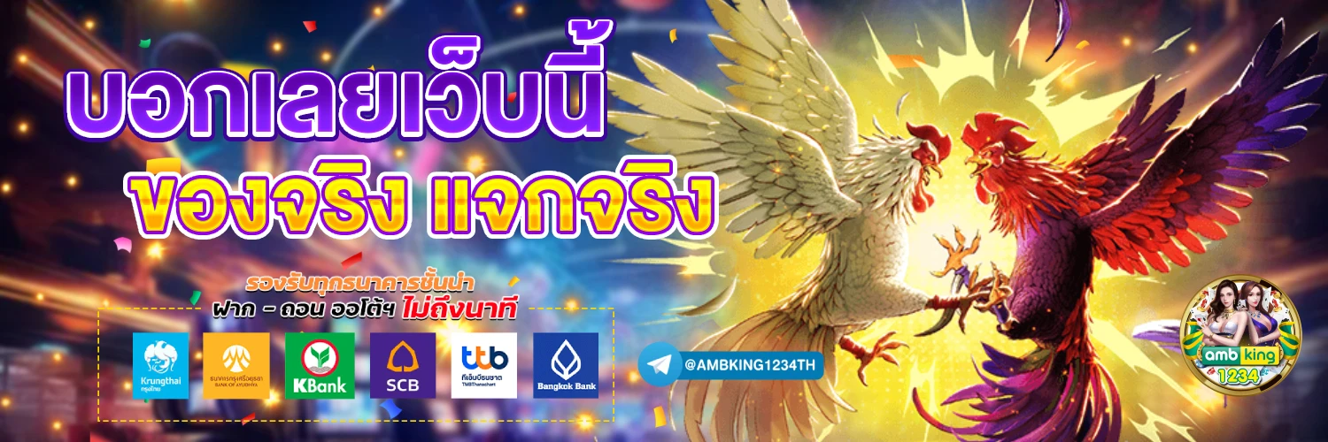 เว็บไทเกอร์ - แบนเนอร์โปรโมชั่น